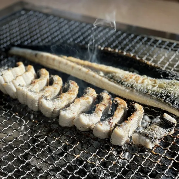 풍천장어